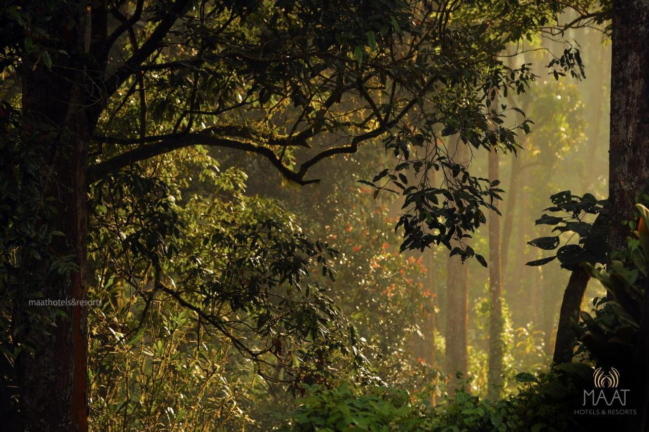 Dew Drops Farm Resorts Munnar Exteriér fotografie