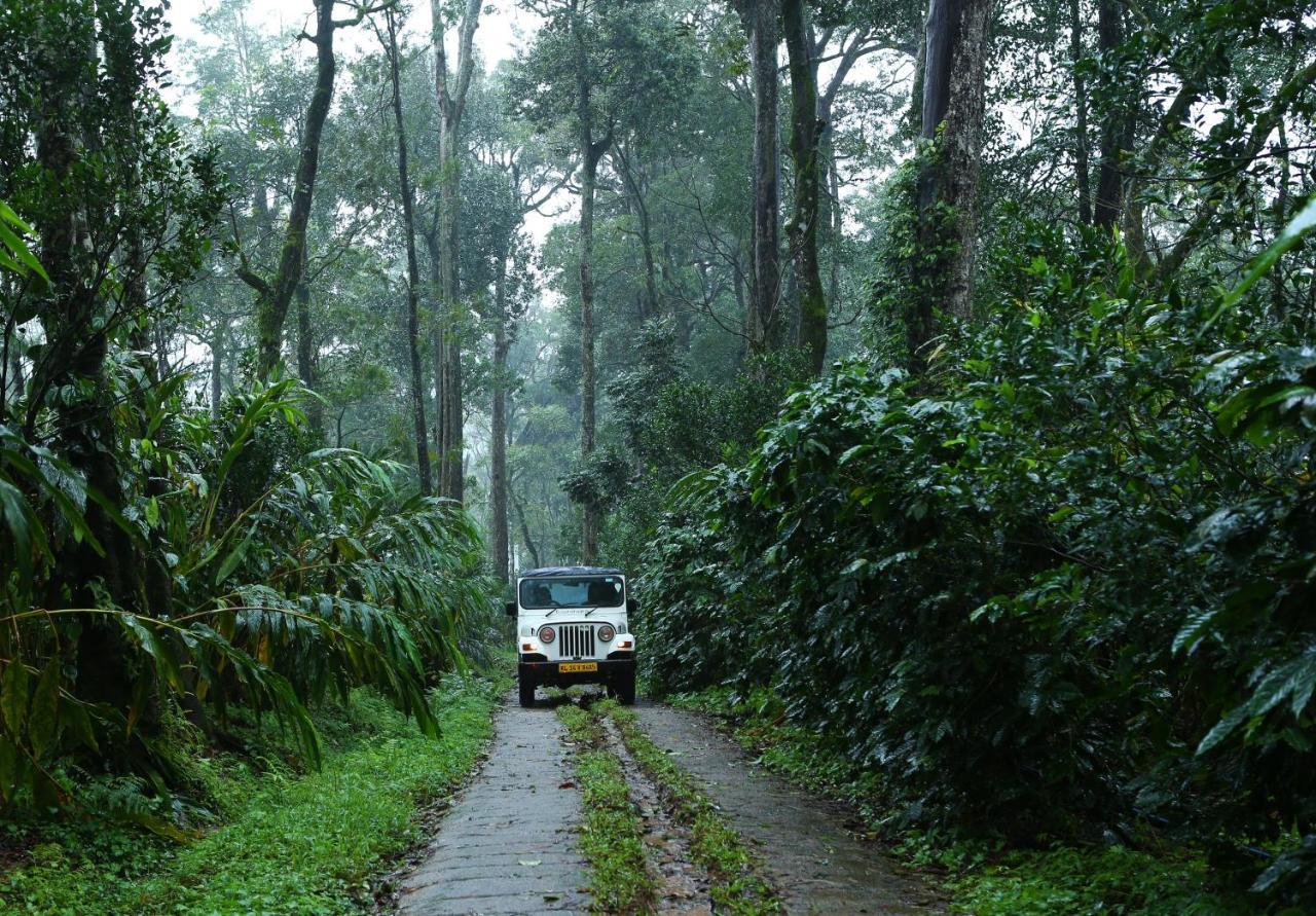 Dew Drops Farm Resorts Munnar Exteriér fotografie