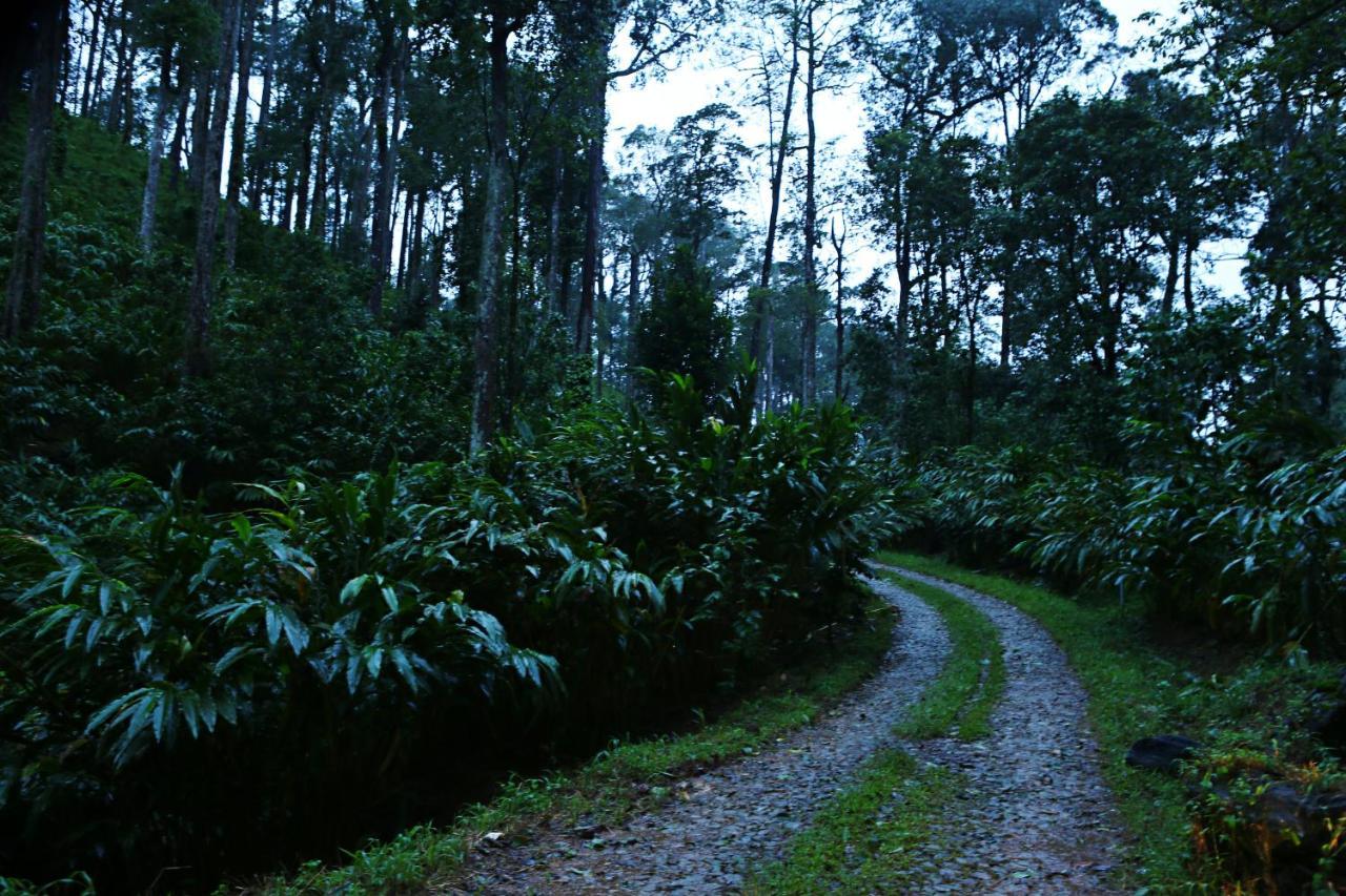 Dew Drops Farm Resorts Munnar Exteriér fotografie