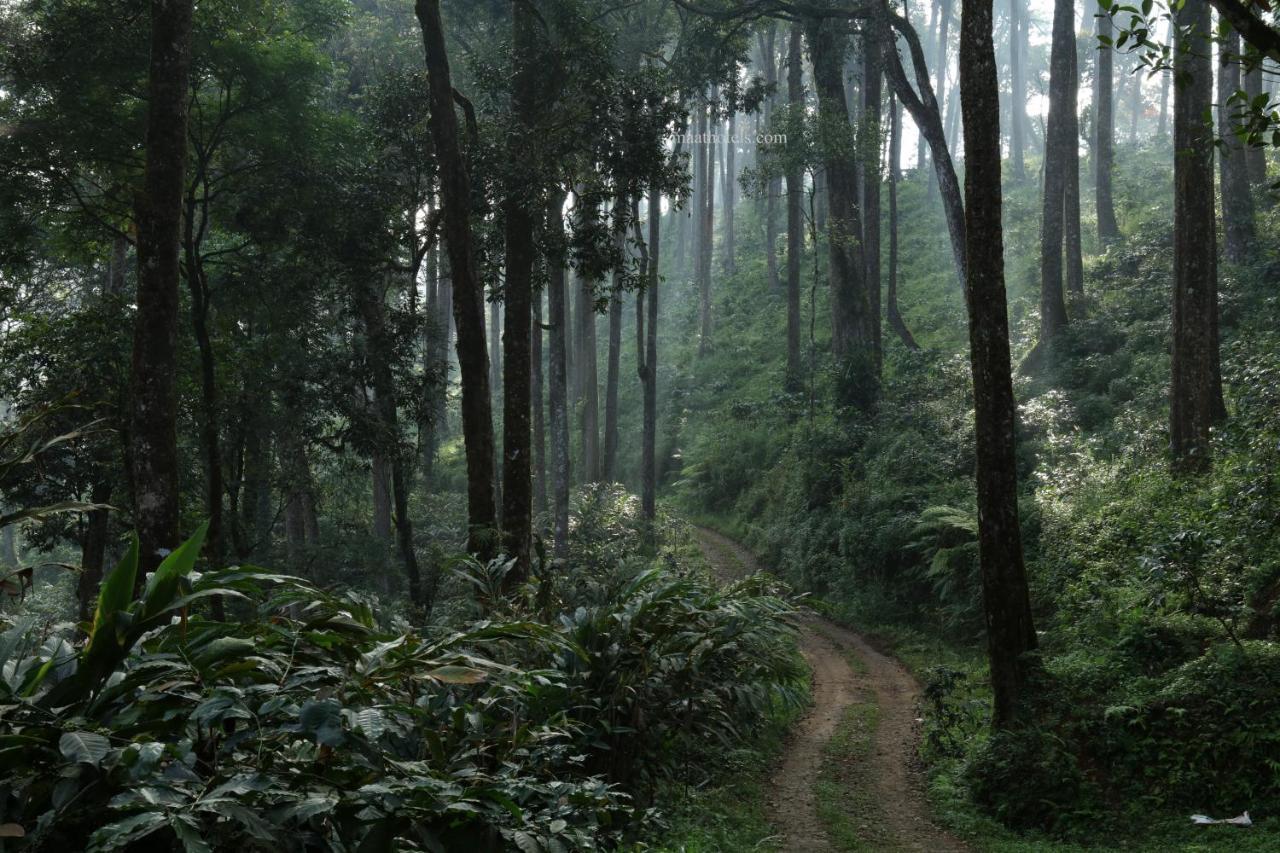 Dew Drops Farm Resorts Munnar Exteriér fotografie