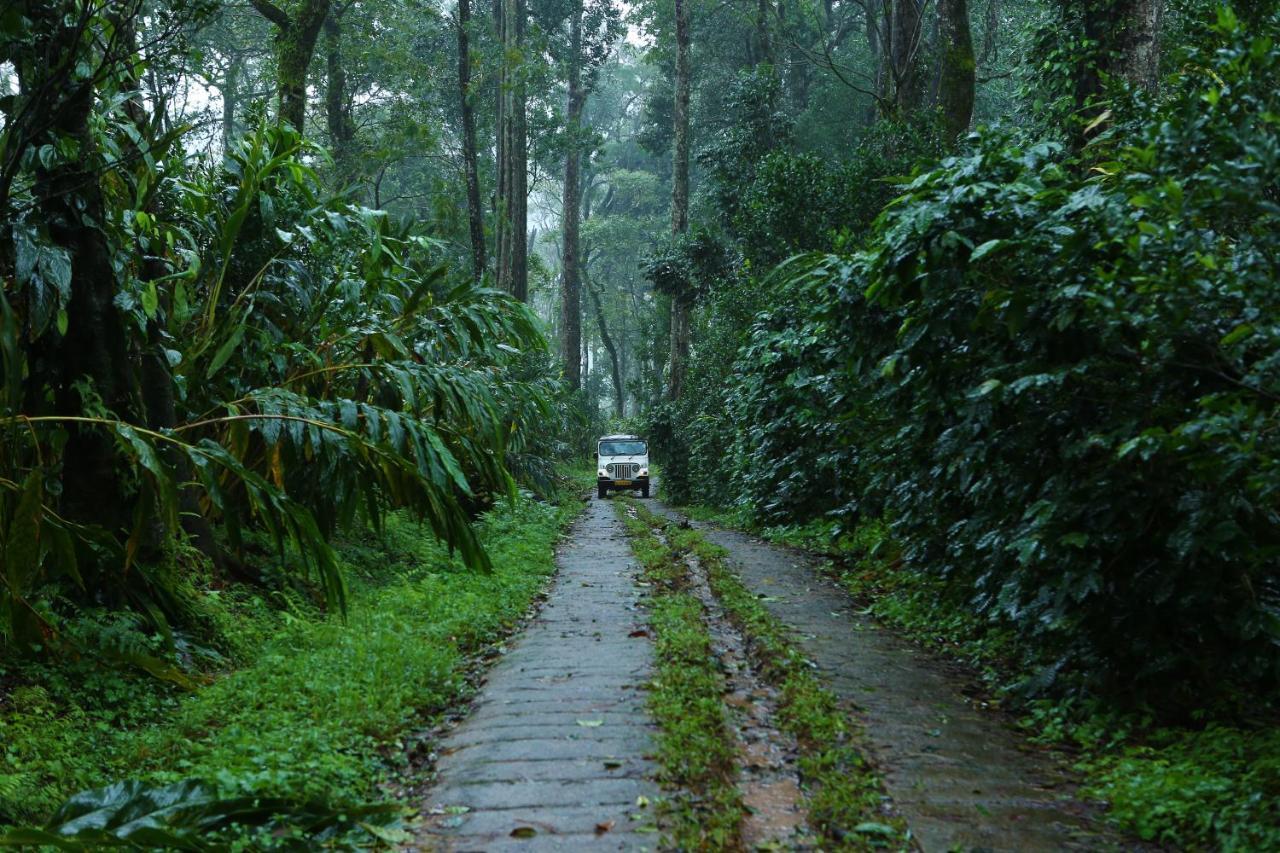 Dew Drops Farm Resorts Munnar Exteriér fotografie